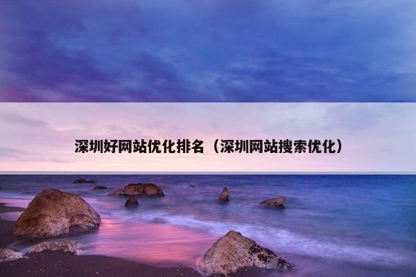 深圳好网站优化排名（深圳网站搜索优化）