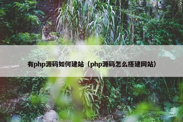有php源码如何建站（php源码怎么搭建网站）