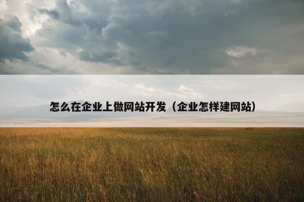 怎么在企业上做网站开发（企业怎样建网站）