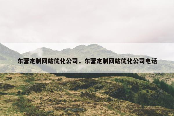 东营定制网站优化公司，东营定制网站优化公司电话