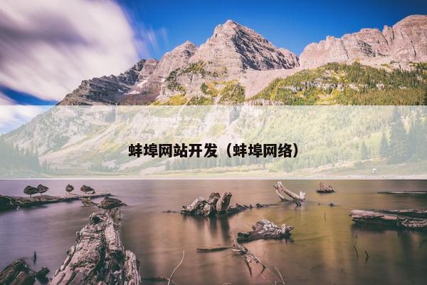 蚌埠网站开发（蚌埠网络）
