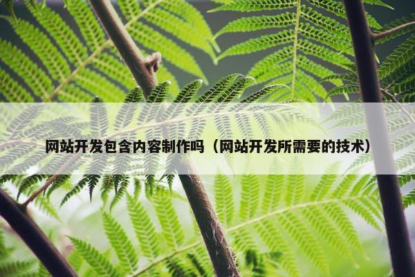 网站开发包含内容制作吗（网站开发所需要的技术）