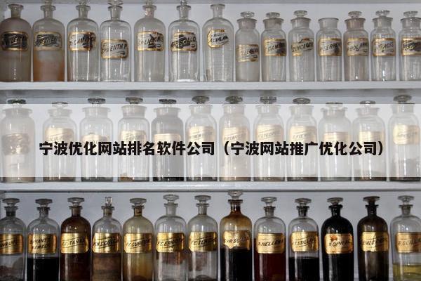 宁波优化网站排名软件公司（宁波网站推广优化公司）