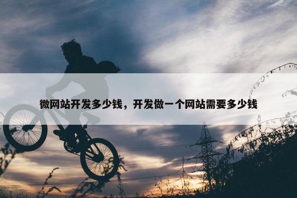 微网站开发多少钱，开发做一个网站需要多少钱
