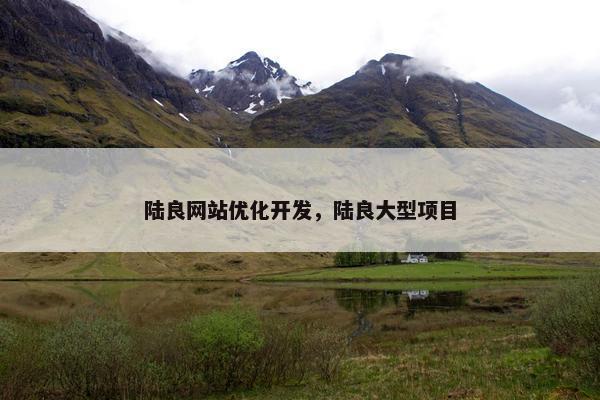 陆良网站优化开发，陆良大型项目