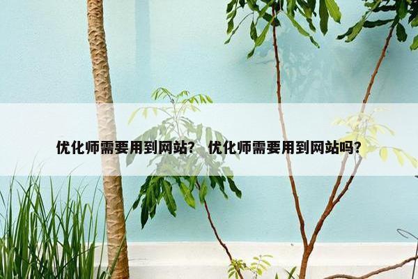 优化师需要用到网站？ 优化师需要用到网站吗？