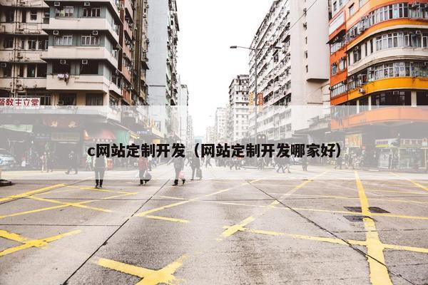 c网站定制开发（网站定制开发哪家好）