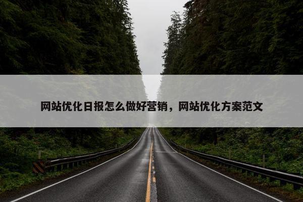 网站优化日报怎么做好营销，网站优化方案范文
