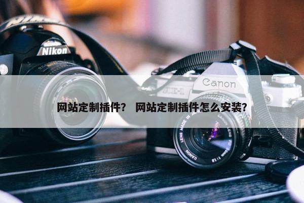 网站定制插件？ 网站定制插件怎么安装？
