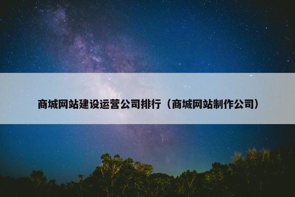 商城网站建设运营公司排行（商城网站制作公司）