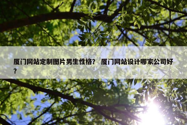 厦门网站定制图片男生性格？ 厦门网站设计哪家公司好？