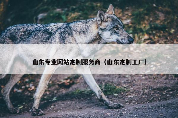 山东专业网站定制服务商（山东定制工厂）