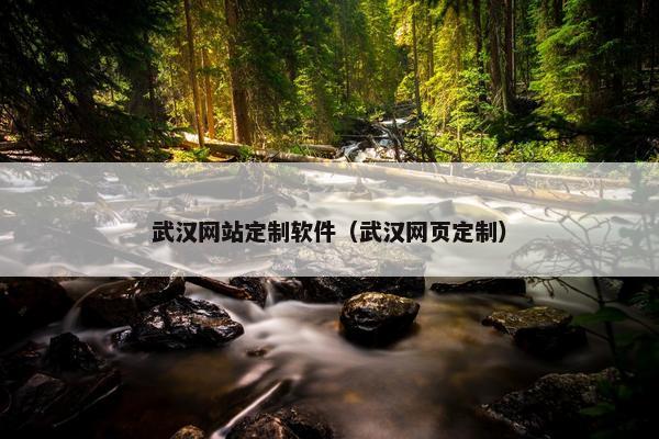 武汉网站定制软件（武汉网页定制）
