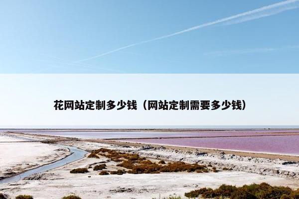 花网站定制多少钱（网站定制需要多少钱）