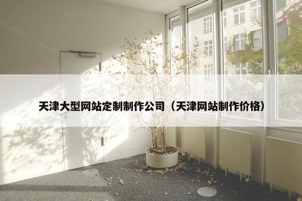 天津大型网站定制制作公司（天津网站制作价格）