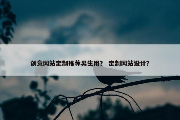 创意网站定制推荐男生用？ 定制网站设计？