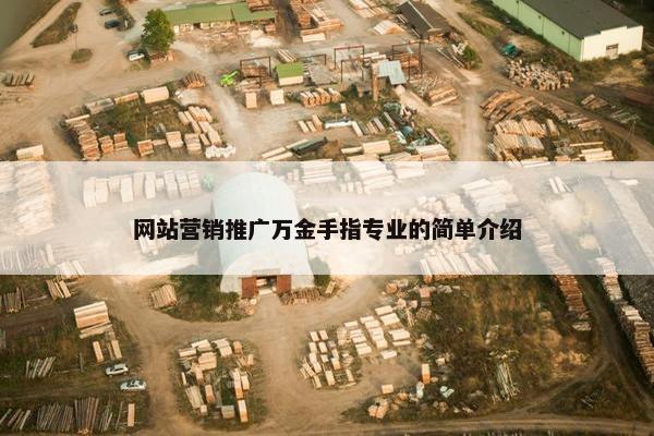 网站营销推广万金手指专业的简单介绍