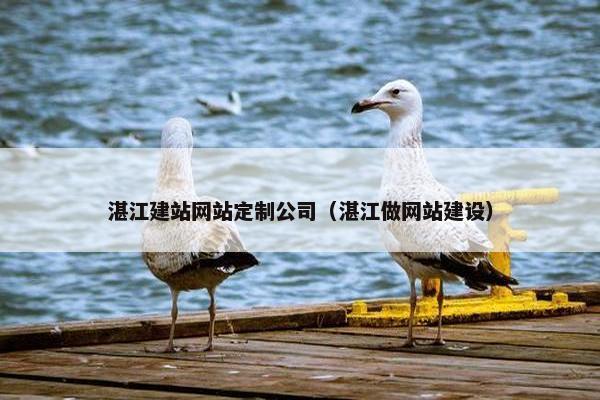 湛江建站网站定制公司（湛江做网站建设）