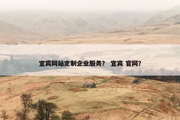 宜宾网站定制企业服务？ 宜宾 官网？