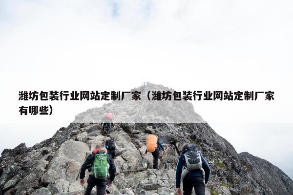 潍坊包装行业网站定制厂家（潍坊包装行业网站定制厂家有哪些）
