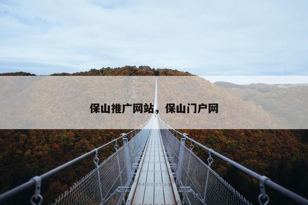 保山推广网站，保山门户网