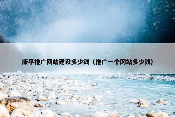 康平推广网站建设多少钱（推广一个网站多少钱）
