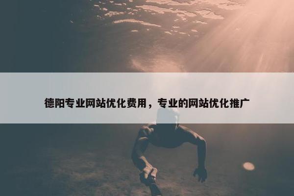 德阳专业网站优化费用，专业的网站优化推广